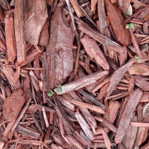 example_mulch